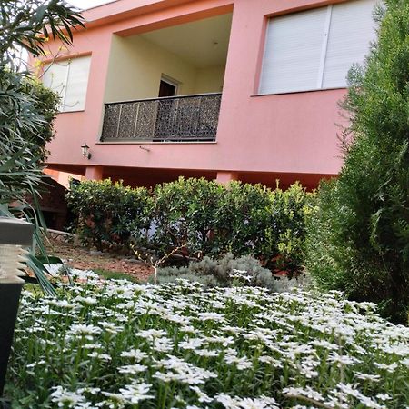 Miran Apartment Ivanica Екстериор снимка